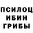 Псилоцибиновые грибы мицелий Desun Yung