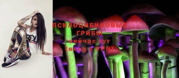 стафф Алексеевка