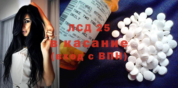 ПСИЛОЦИБИНОВЫЕ ГРИБЫ Алексин