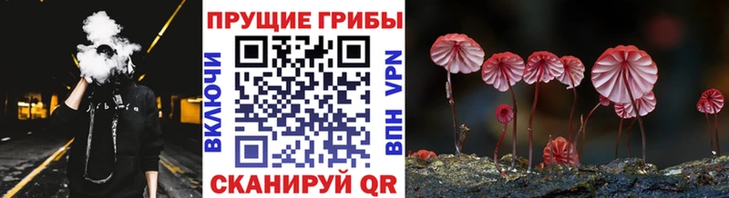 Галлюциногенные грибы Magic Shrooms  Апшеронск 